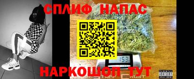 шишки Татарск