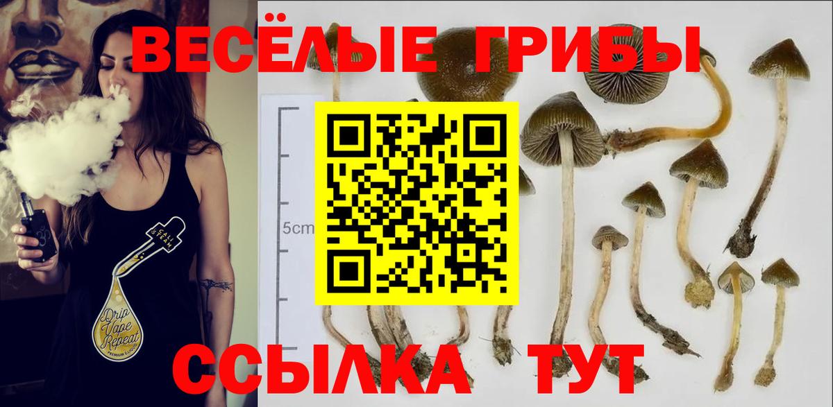 Галлюциногенные грибы Magic Shrooms Новошахтинск